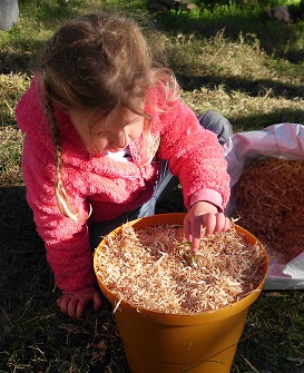 Leah planting celery in a Craterpot